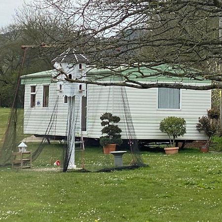 The Nest - Family Friendly Caravan Nr Glastonbury & Street سوميرتون المظهر الخارجي الصورة