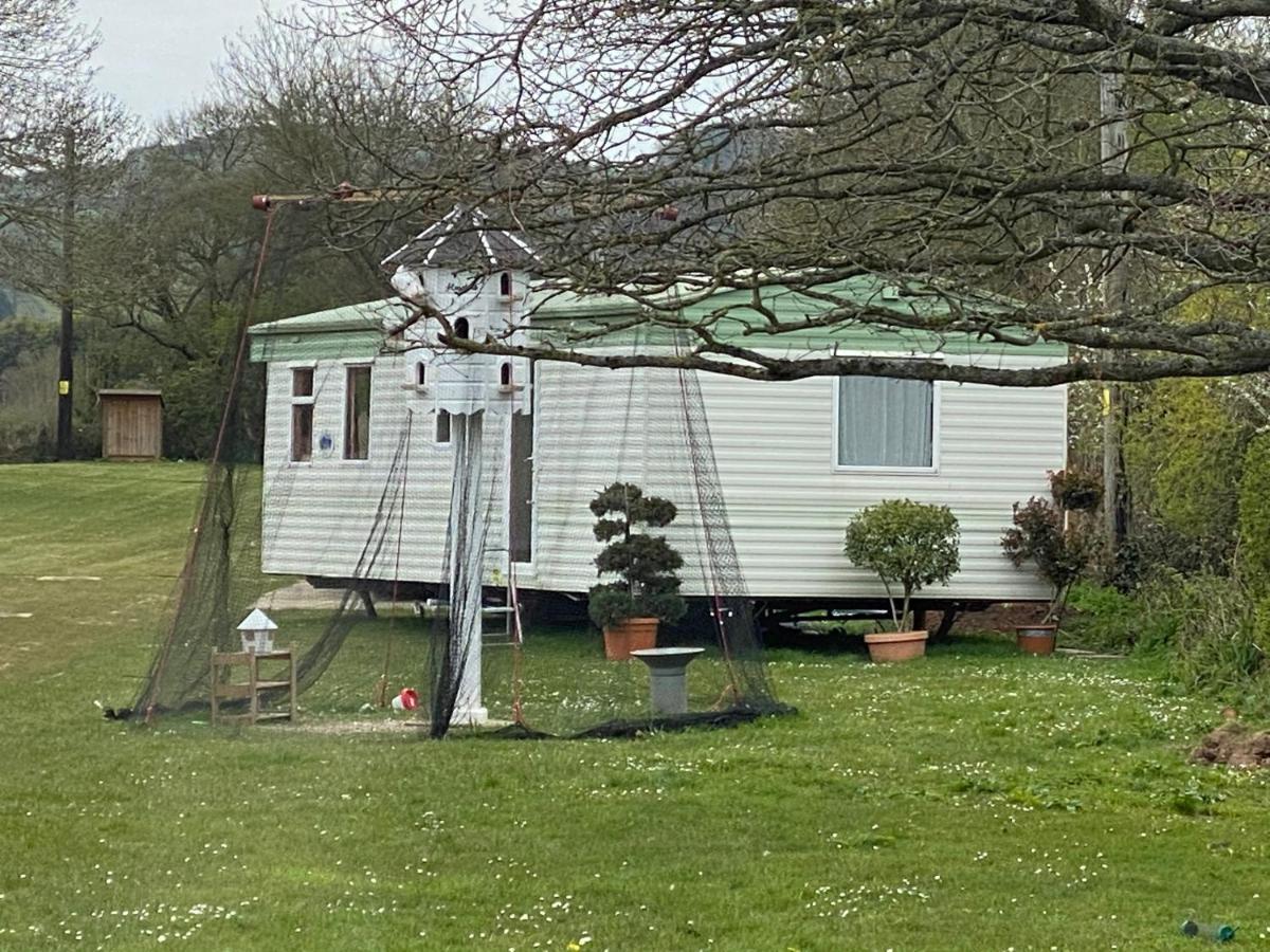 The Nest - Family Friendly Caravan Nr Glastonbury & Street سوميرتون المظهر الخارجي الصورة