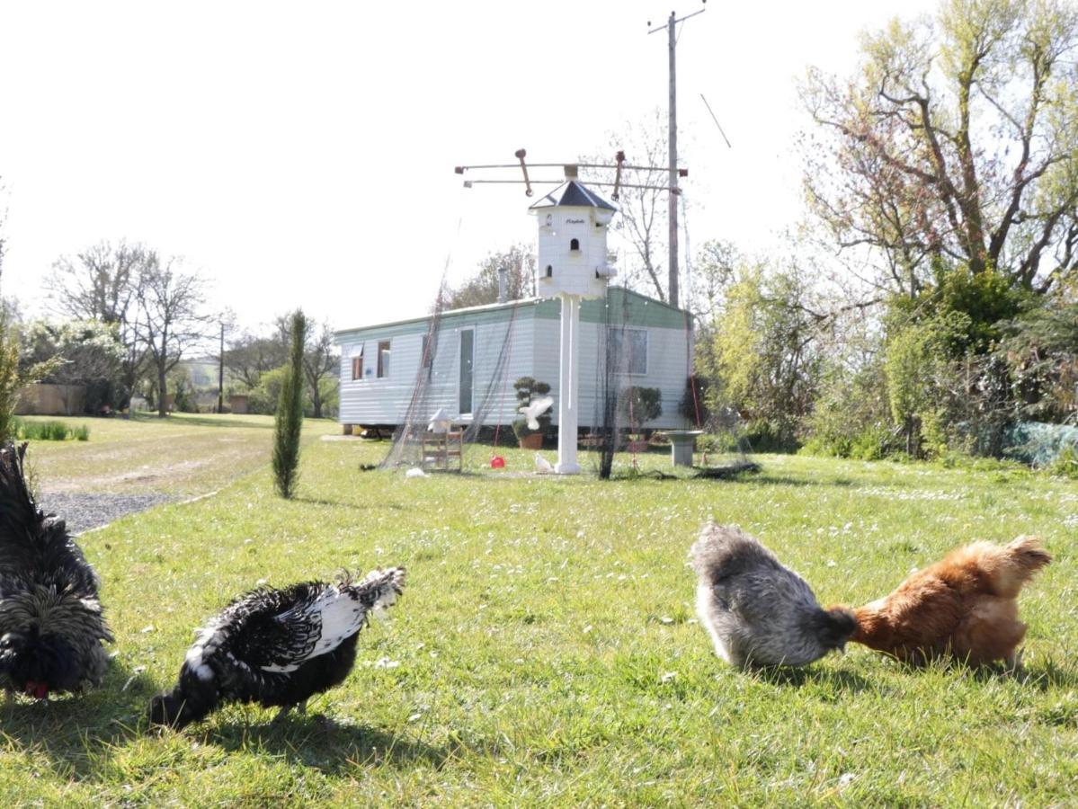 The Nest - Family Friendly Caravan Nr Glastonbury & Street سوميرتون المظهر الخارجي الصورة